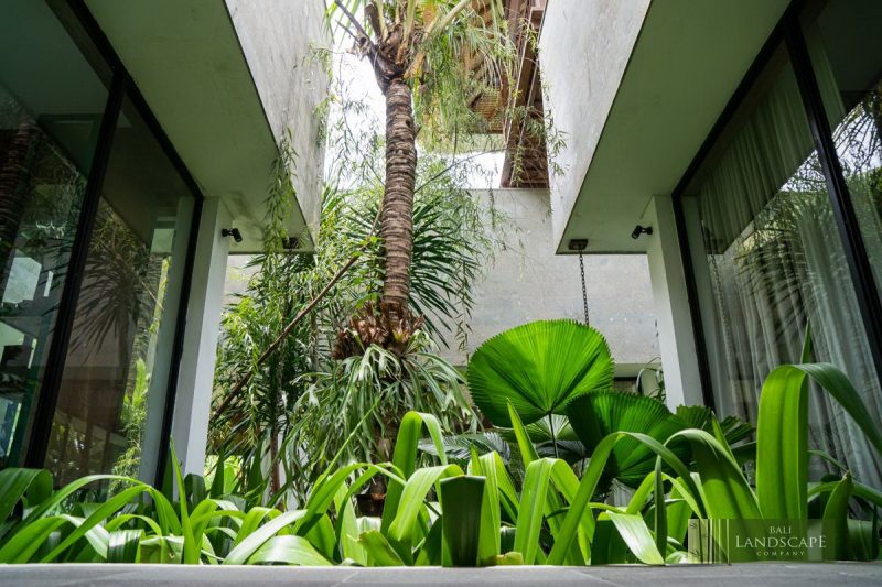 Haus Flore Villa | Bali Landscape Company
